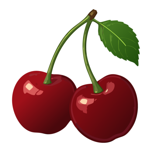 アメリカンチェリー