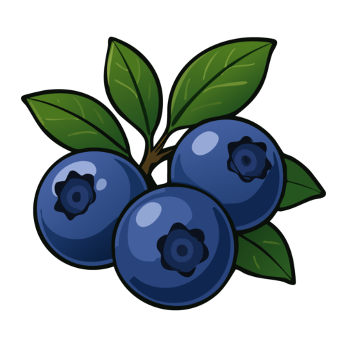ブルーベリー
