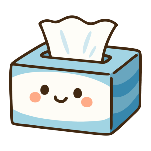 ボックスティッシュ