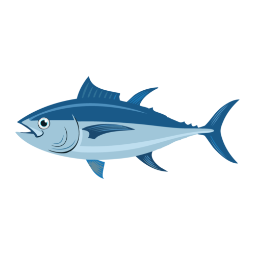 魚のイラスト【無料フリー素材】生き物の素材（PNG・商用利用可）