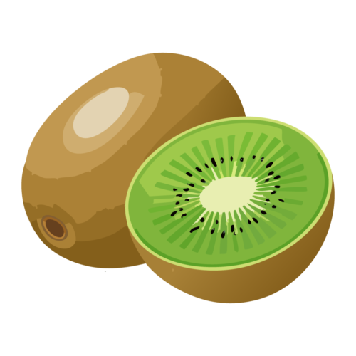 キウイフルーツのイラスト【無料フリー素材】フルーツ素材（PNG・商用利用可）