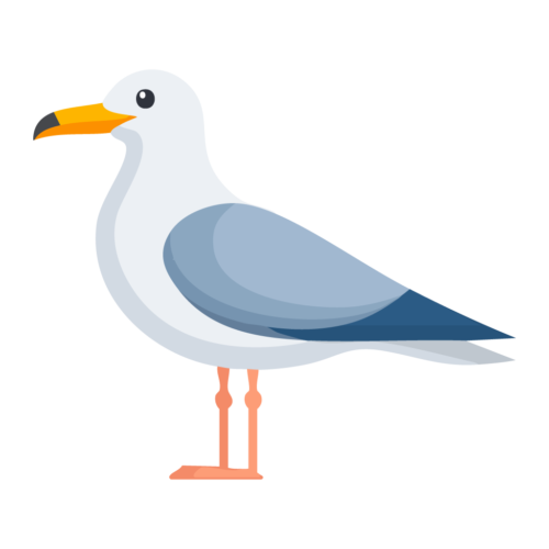 カモメのイラスト【無料フリー素材】生き物の素材（PNG・商用利用可）
