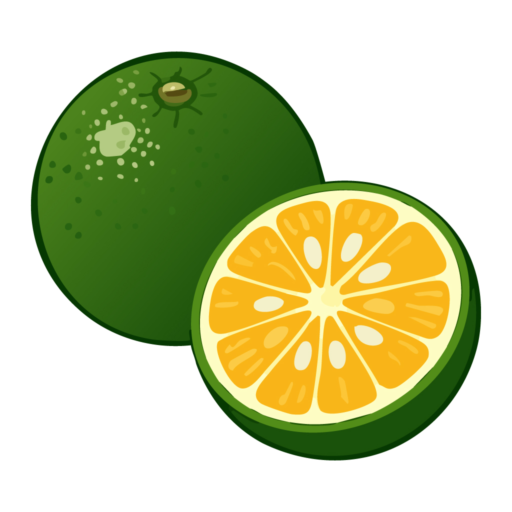 シークヮーサーのイラスト【無料フリー素材】フルーツ素材（PNG・商用利用可）
