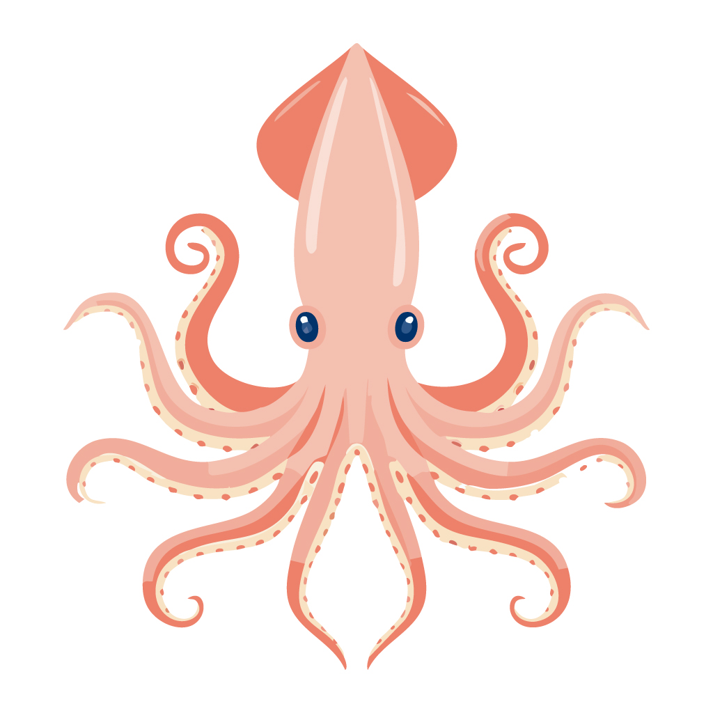 イカのイラスト【無料フリー素材】生き物の素材（PNG・商用利用可）