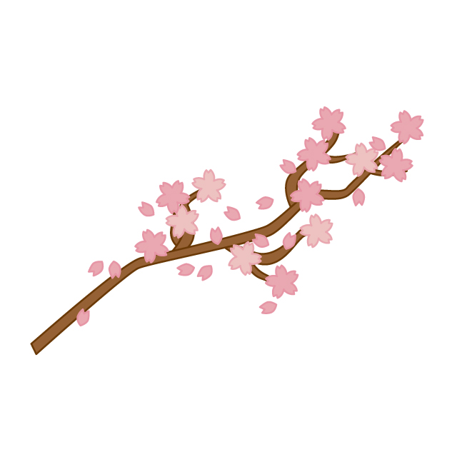 sakura